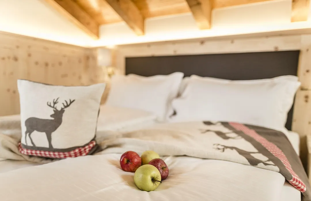 Hotel Shandranj-1